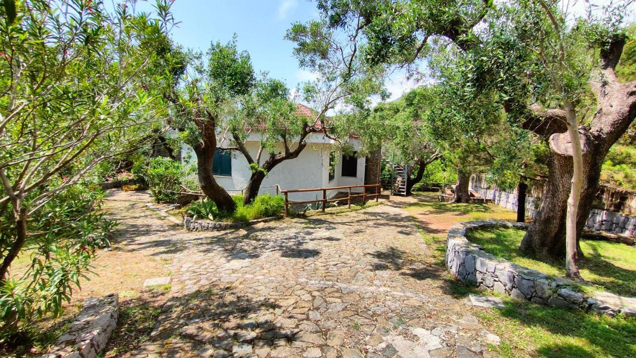 Villa Irma Marina di Camerota Dış mekan fotoğraf