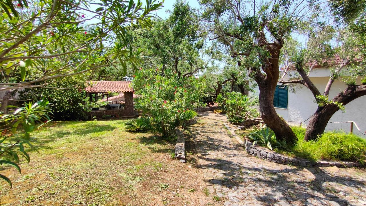 Villa Irma Marina di Camerota Dış mekan fotoğraf
