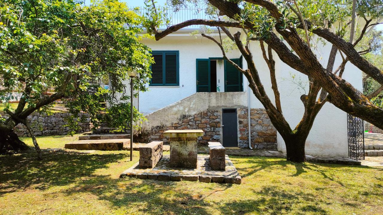Villa Irma Marina di Camerota Dış mekan fotoğraf