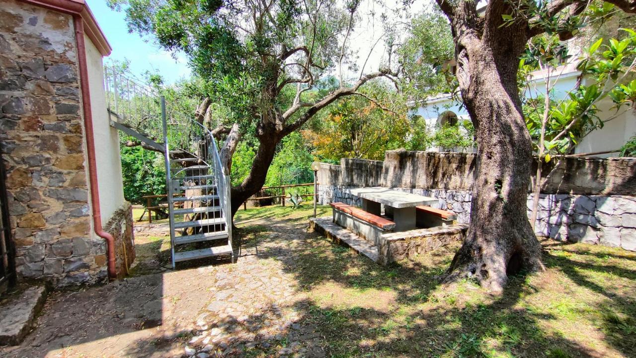 Villa Irma Marina di Camerota Dış mekan fotoğraf