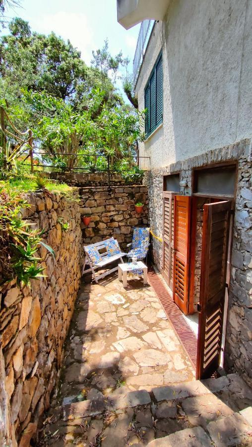Villa Irma Marina di Camerota Dış mekan fotoğraf