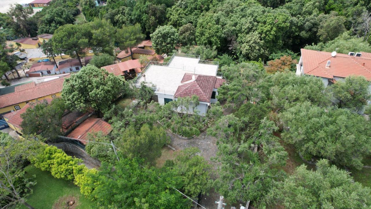 Villa Irma Marina di Camerota Dış mekan fotoğraf